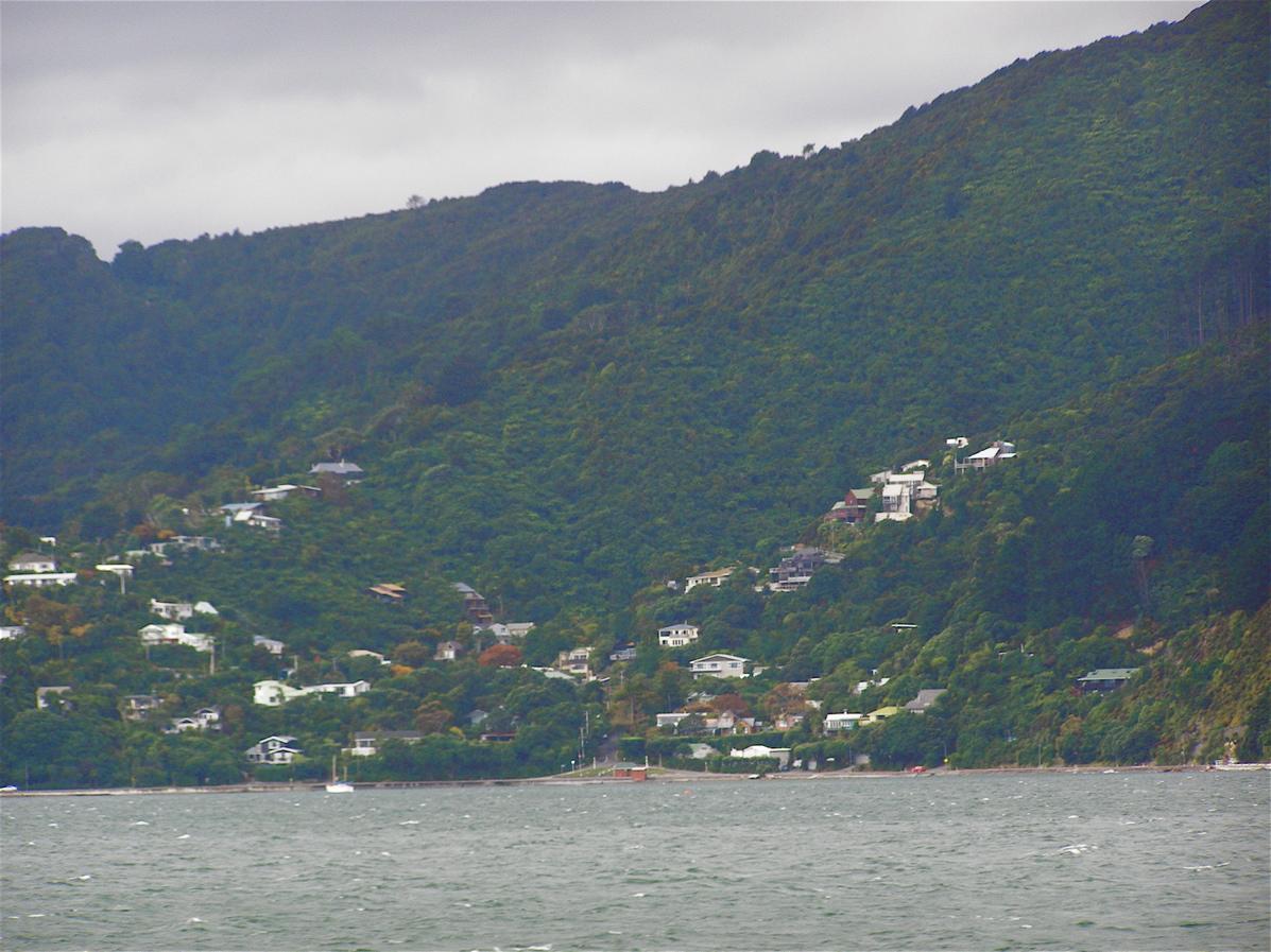 Bush House Bed & Breakfast Lower Hutt Luaran gambar